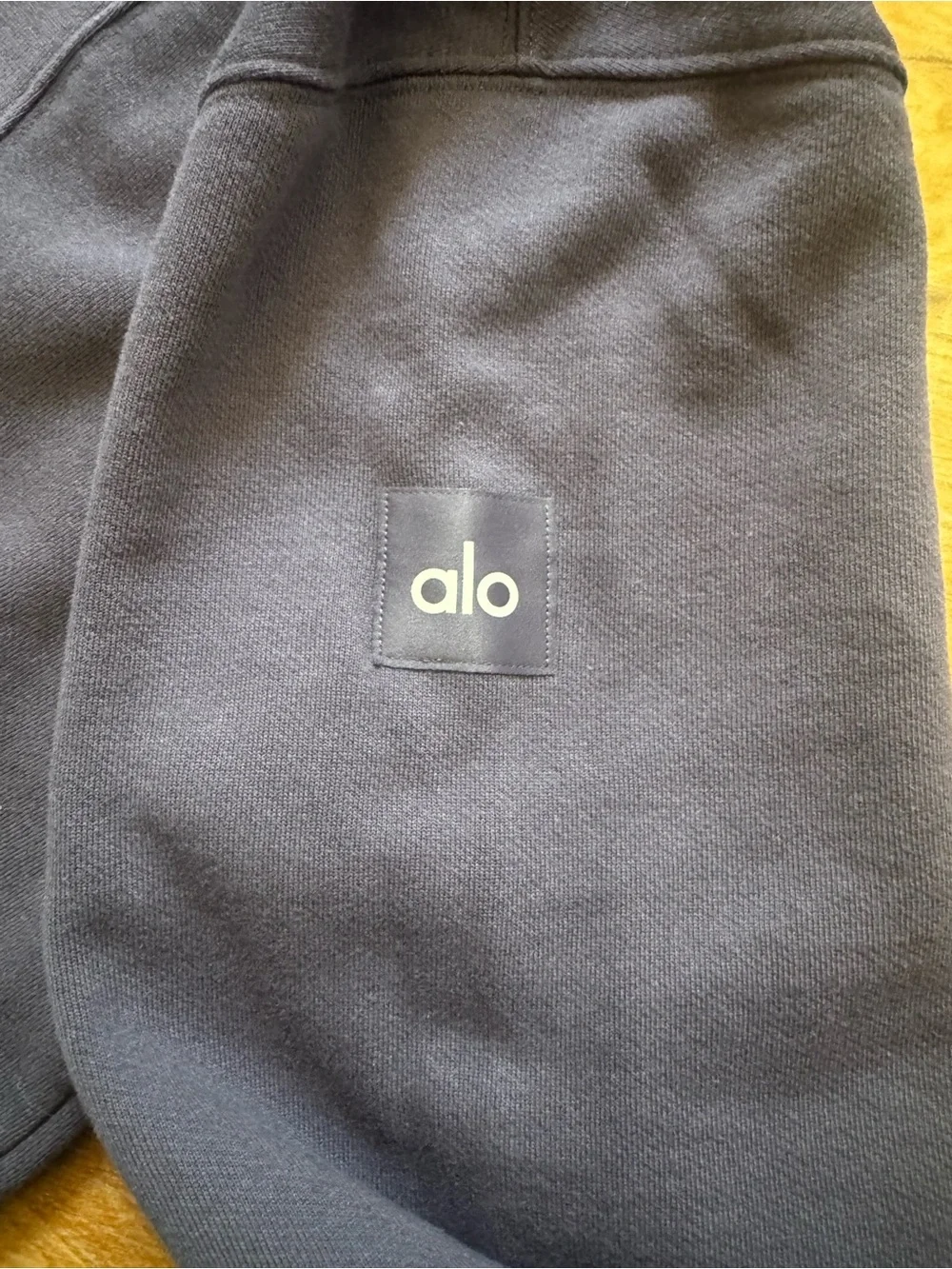 ALO Purple and Slate Hoodie
